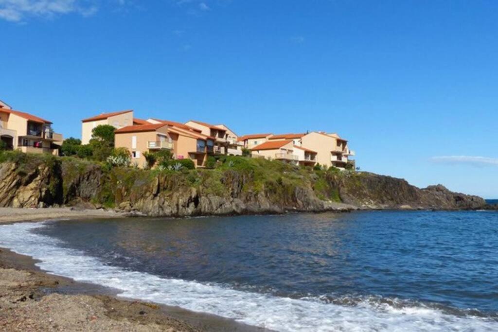 Collioure Appart En Bord De Mer Plage A 50M Clim Garage Location Du Samedi Au Samedi Екстериор снимка