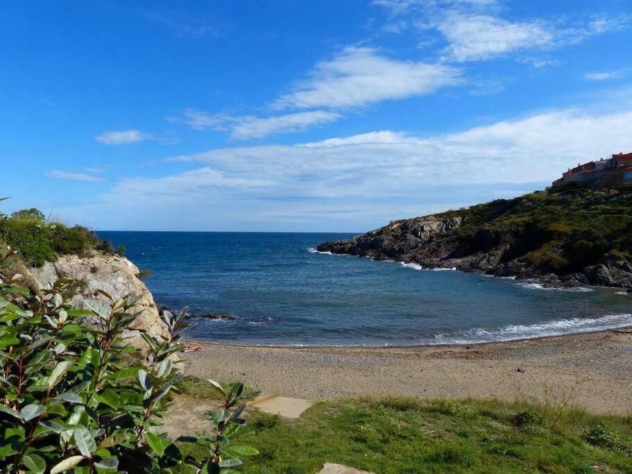 Collioure Appart En Bord De Mer Plage A 50M Clim Garage Location Du Samedi Au Samedi Екстериор снимка